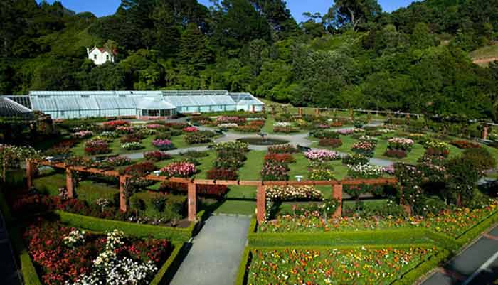 Botanic Garden Wellington
